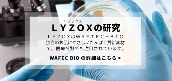 LYZOXの研究